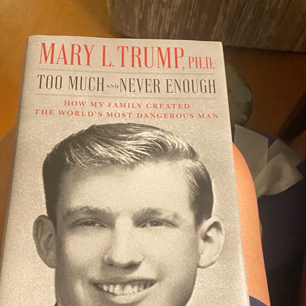 Too Much and Never Enough Book